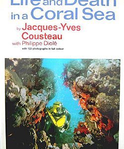 Life and Death in a Coral Sea