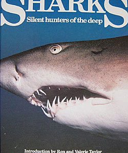 Sharks - Silent Hunters of the Deep